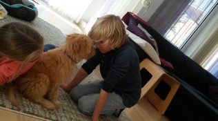 Unser Joshi ist das fünfte Kind im Haus